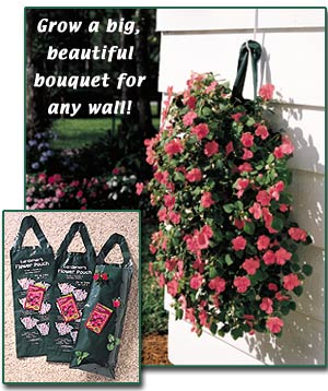 flowerhangs.jpg